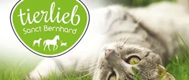 Tierlieb Sanct Bernhard